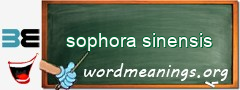 WordMeaning blackboard for sophora sinensis